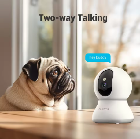 Wewnętrzna kamera bezpieczeństwa